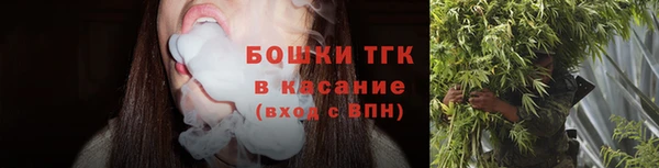 mdpv Инсар
