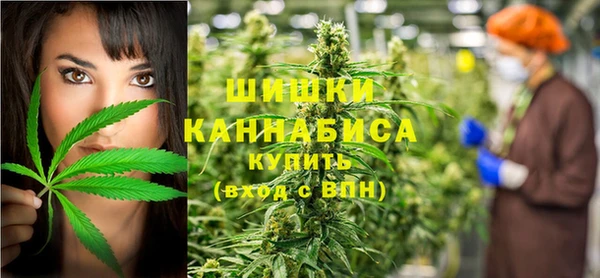 тгк Арсеньев
